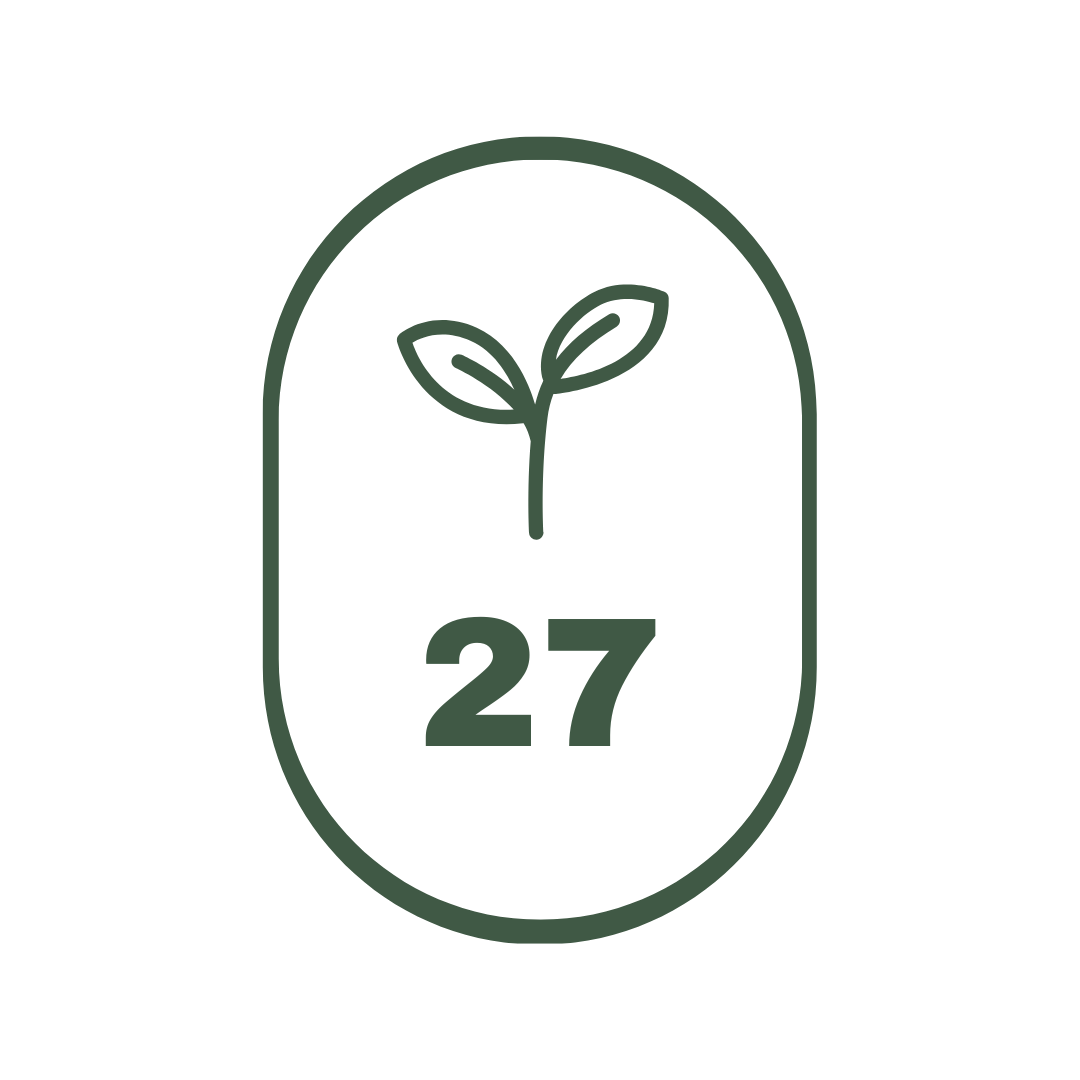 sprout 27